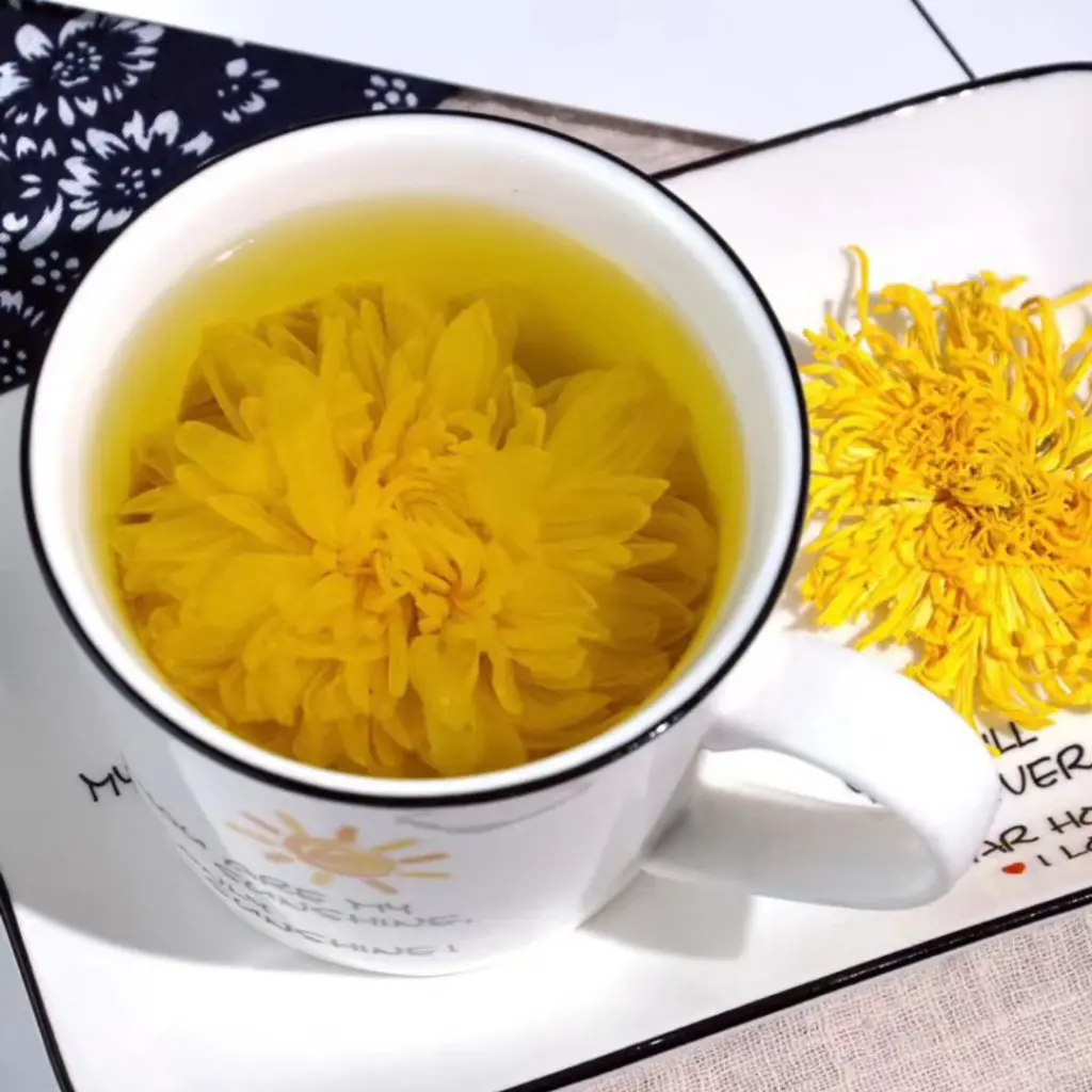 [8 herbs] premium-chrysanthemum -flowers_02.webp