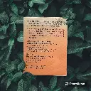 [DYNAMIC NUTRITION] Elderola Berries Chewable_03.webp