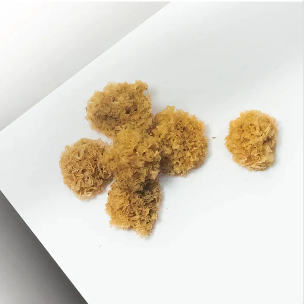 white-fungus-60g_02.webp