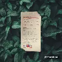 [DYNAMIC NUTRITION] Optivue_02.webp