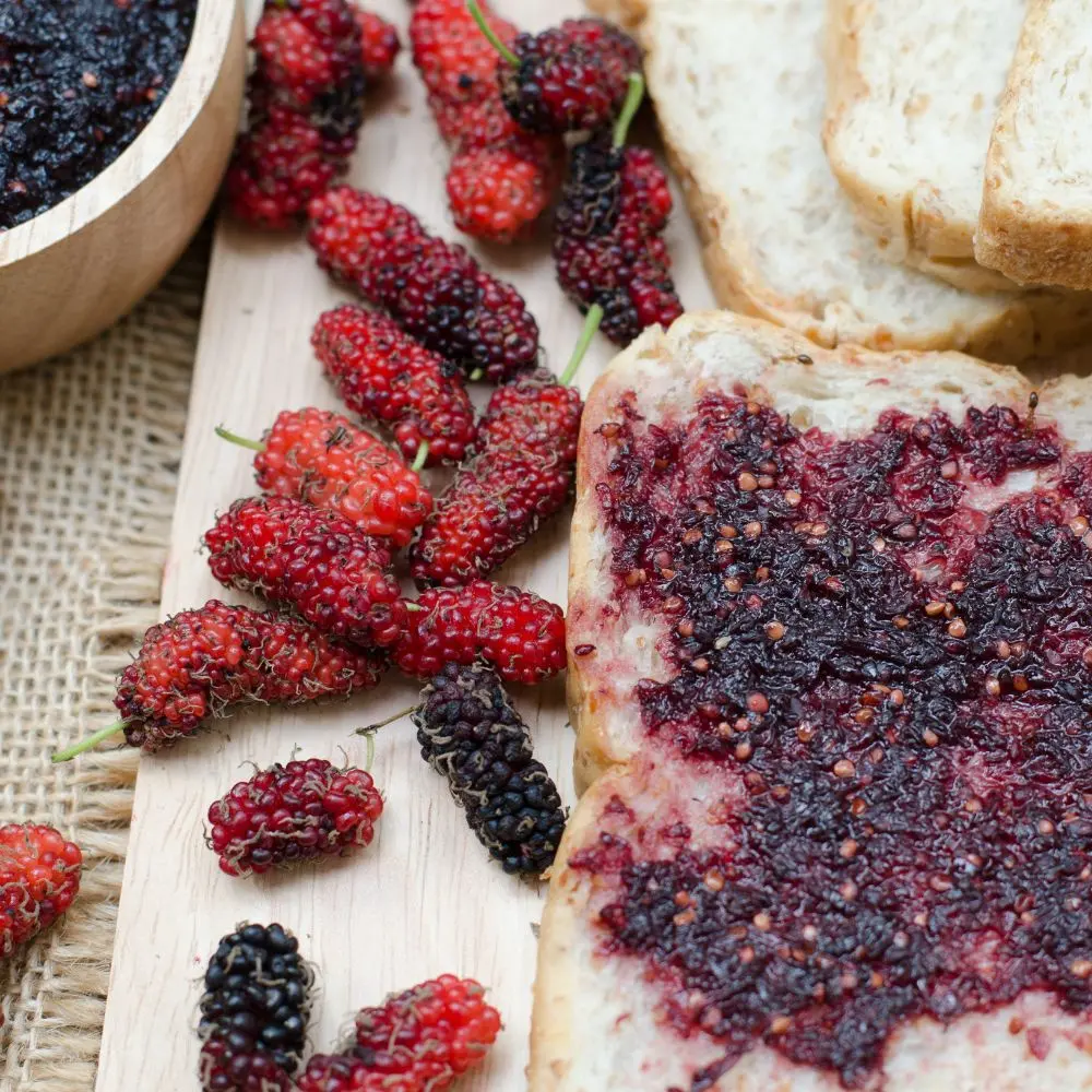 Mulberry Jam_05.webp
