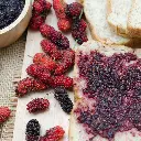 Mulberry Jam_05.webp