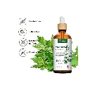 Wormwood Essential Oil (100ml) (3).webp