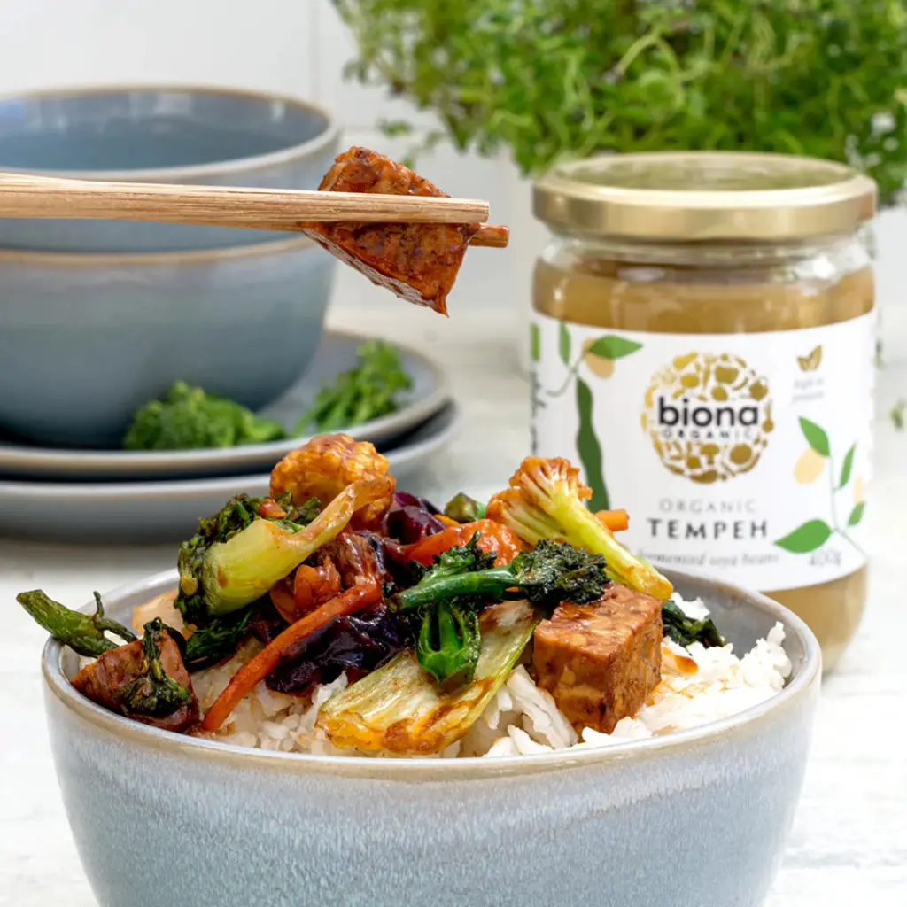 organic-tempeh-fermented-soya-beans_03.webp