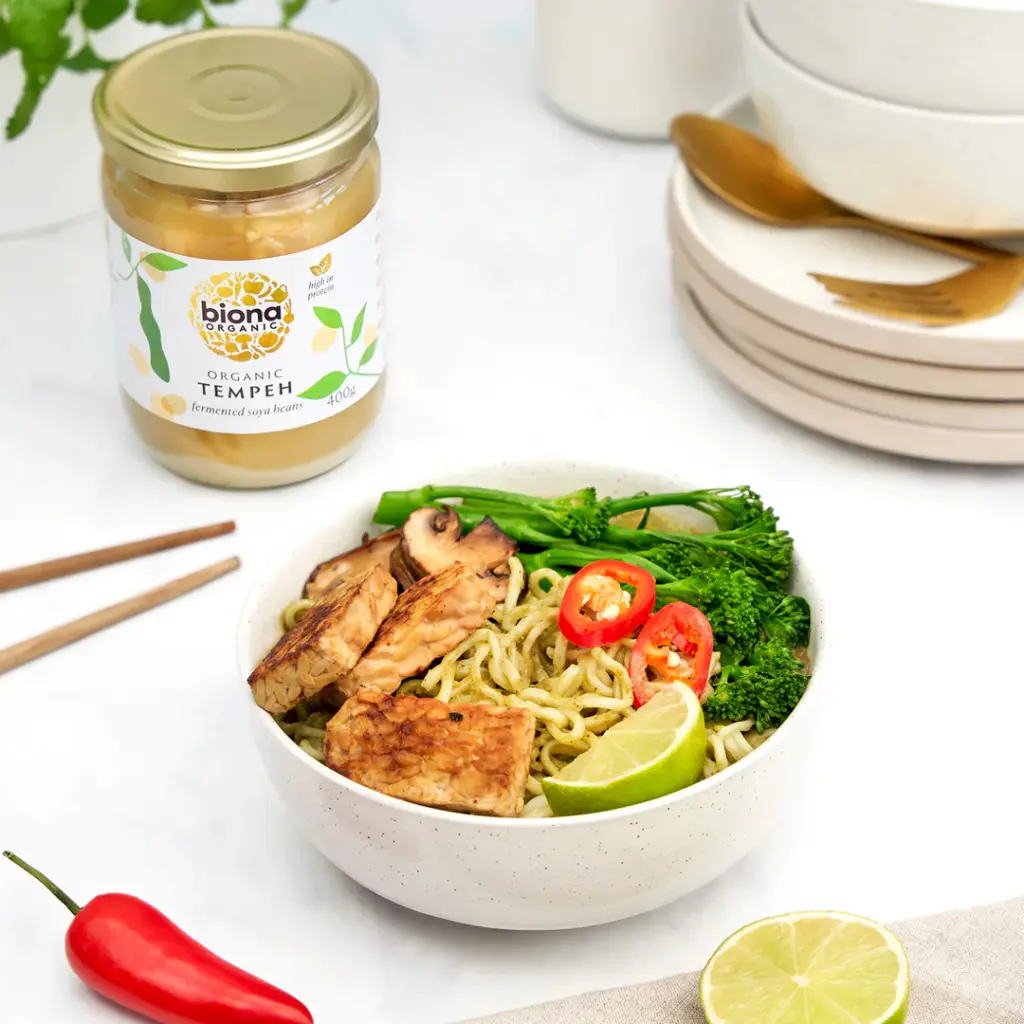 organic-tempeh-fermented-soya-beans_04.webp