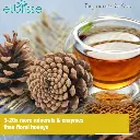 100%-pure-pine-honey-900g_04.webp
