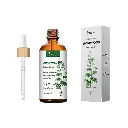 [LANSIYI] Mugwort Essential Oil (20ml)