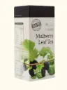 [SPAFOODS] Organic Mulberry Leaf Tea (15pkt)