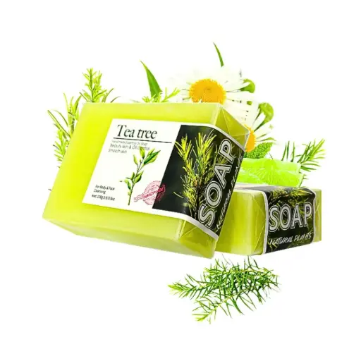 [BPC-BOD-100G-18] Oil Soap Tea Tree (100g)